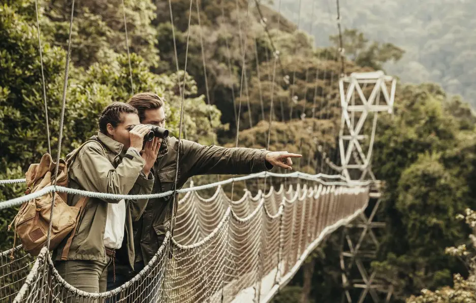 Nyungwe National Park for chimpanzee trekking, forest walks, birding, primates, and the spectacular canopy walkway in Rwanda.