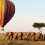 Balloon Safaris