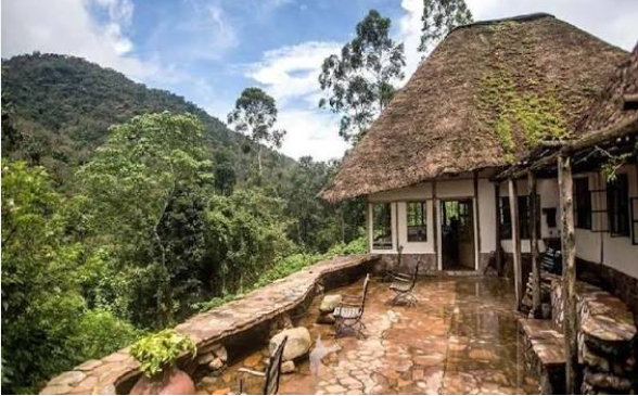 Clouds Mountain Gorilla Lodge