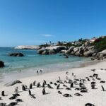 7 Days South Africa Tour