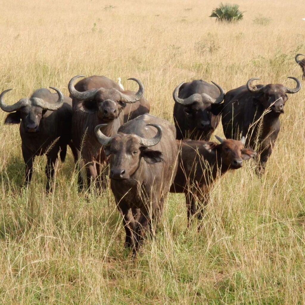Arusha National Park
