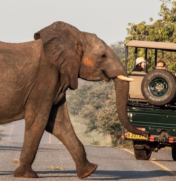 Chobe National Park