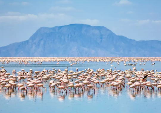 Lake Natron