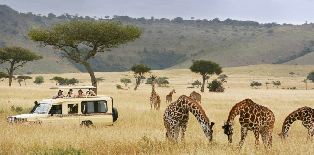 Ruaha National Park