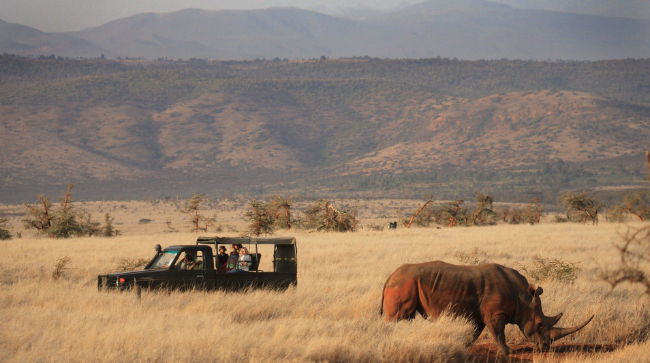 Lewa Wildlife Conservancy