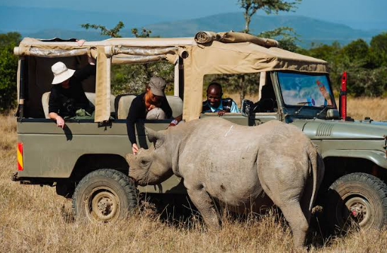 Ol Pejeta Conservancy