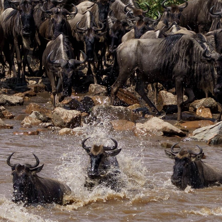 Serengeti National Park Tanzania