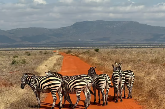 Tsavo East National Park